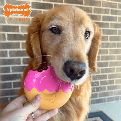 Nylabone Giocattoli per cani Nylabone Rosa Bacon L