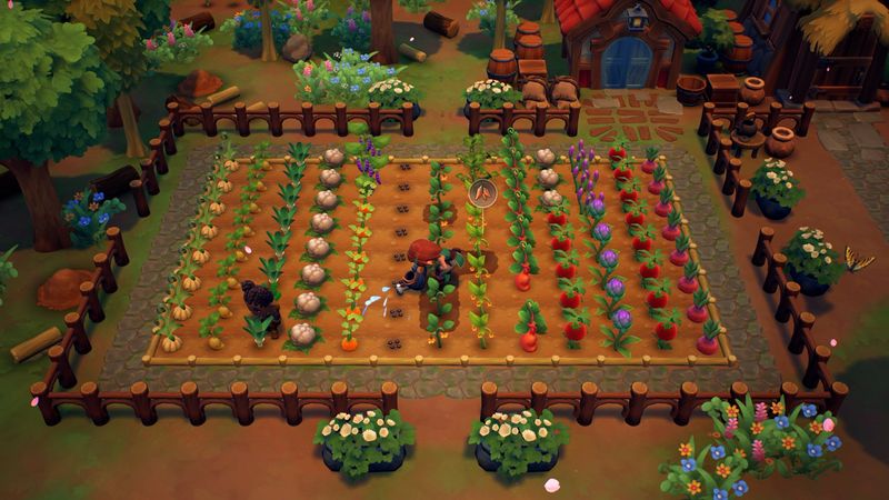 Nintendo-Fae-Farm-per-Nintendo-Switch