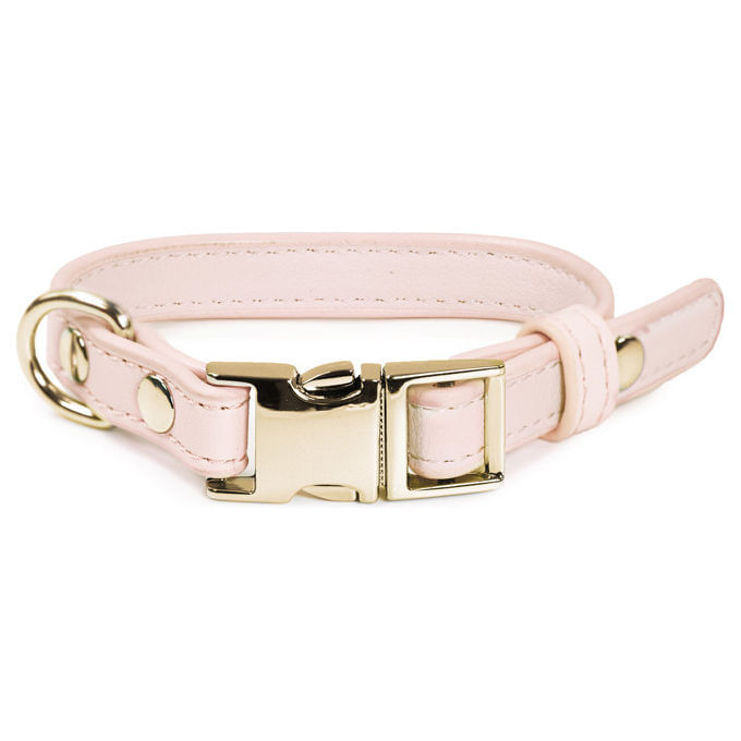 Record-Collare-per-cani-in-similpelle-con-fibbia-in-metallo-XXS---15-cm-Circonferenza-22-30-cm-Rosa