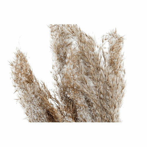 img-5bef2e07-cf2b-4592-8e83-c58da12b1318.png