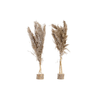 img-ef284038-d64a-4f98-b3d6-ceee9215cfc8.png