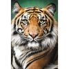 Trefl-Puzzle-da-1500-Pezzi---Portrait-Of-A-Tiger