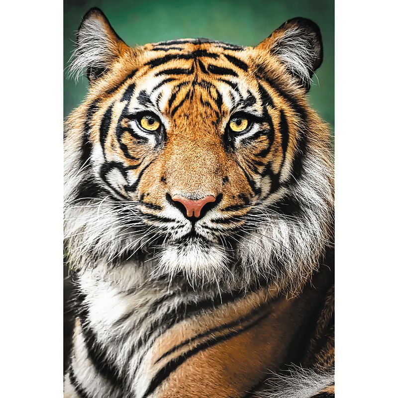 Trefl-Puzzle-da-1500-Pezzi---Portrait-Of-A-Tiger