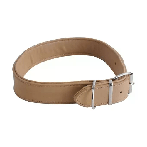 Il-Campo-Collare-Cani-Fc-Cucito-Mm-20-Cm-46
