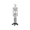 --Modello-Scheletro-Umano-Linea-----Value-----1-pz.--