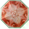 img-82de2869-7f74-4833-9a23-da2442e6fd5e.png