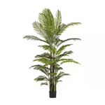 Bizzotto Pianta con Vaso 33Foglie H210 - REGALO