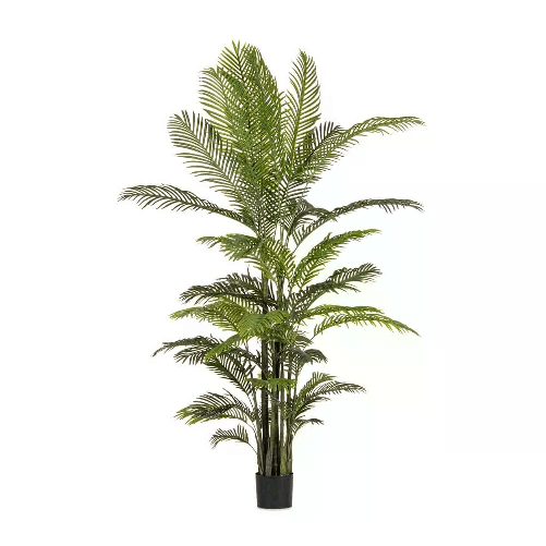 Bizzotto Pianta con Vaso 33Foglie H210 - REGALO