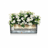 img-e11a6039-ab18-4352-b866-6af93d587156.png