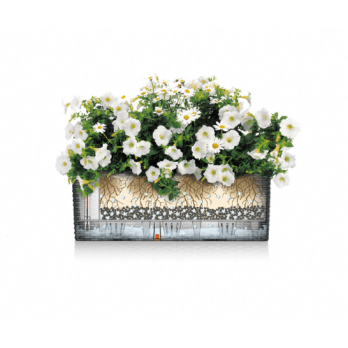 img-1c264395-ba08-4c45-963d-97b4594c7f28.png