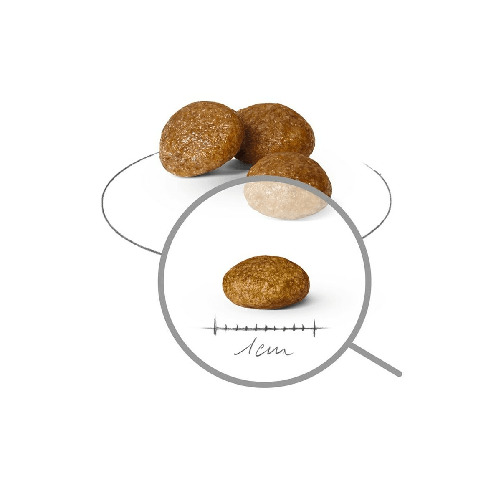 img-73edd361-c267-410c-83bd-904a5d4ef50d.png
