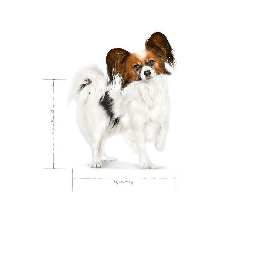 img-d17003a2-a8fd-4a4d-9899-44397bf1b9c1.png