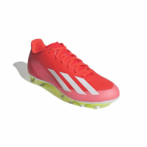 img-1a513e7e-e001-461d-835b-0a9cdf0458d0.png