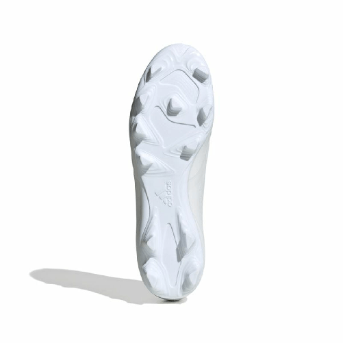 img-65323fba-f45d-4b94-affb-5d0865aa316e.png