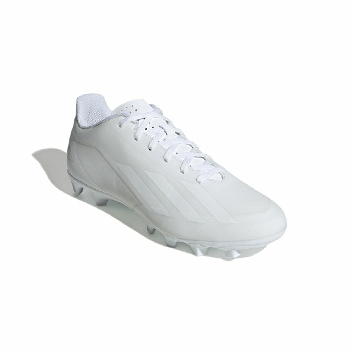 img-eee160c6-9ec1-4db5-9beb-5e1112da96e3.png
