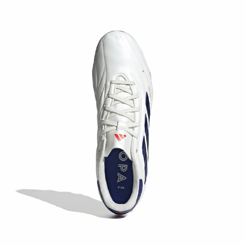 img-a71e614b-dfca-408d-b636-c8acfb76a097.png