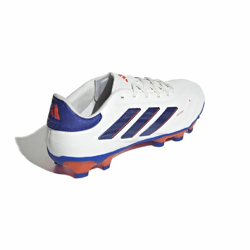img-b13a32a2-6e26-4621-925c-60379a6e517a.png