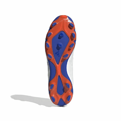 img-a50420d6-3fa2-4ec4-8db6-d8fdb18a8efa.png