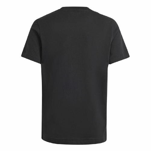 img-40625f89-4167-433a-b4aa-3c1cf6c1e72d.png
