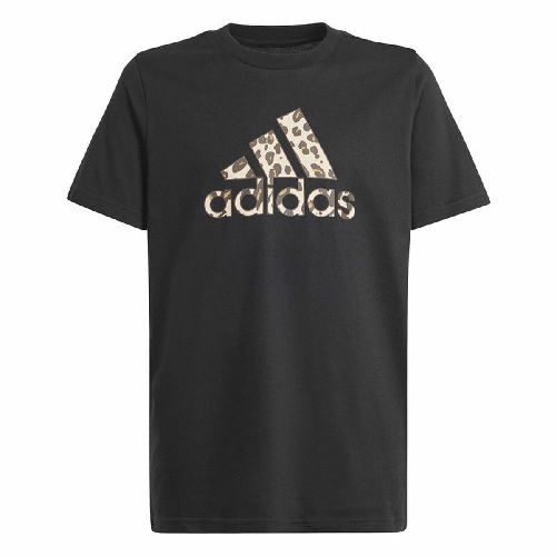img-bde63dad-eb24-413f-a362-5a6b0cf85e07.png