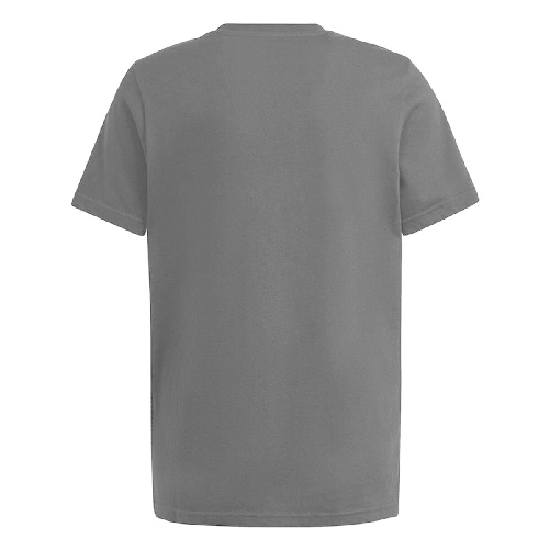img-79ab3258-cac9-407d-99c3-7fe3ce3a52b2.png