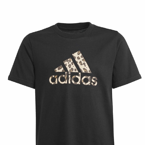 img-6bcf9d06-26c2-471a-b112-e7c7037b3b5b.png