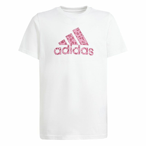img-b3004fbf-d4fd-403d-8a6d-47169dd0280c.png