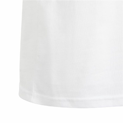 img-4d55a0f0-6e91-47d6-a7e6-98e7bac43b49.png