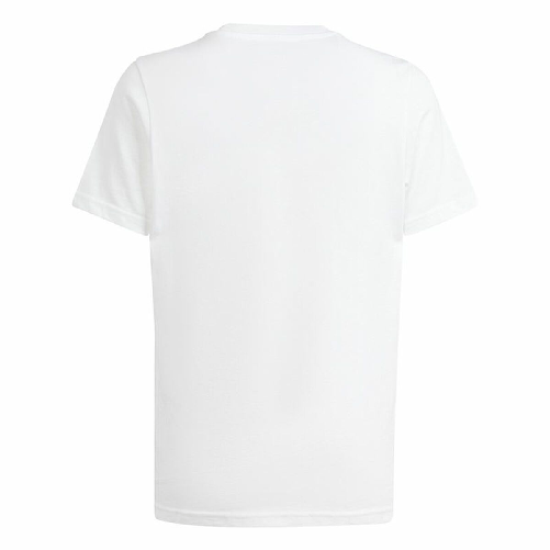 img-c7bb7134-c99d-4807-829a-853fd19ffc65.png