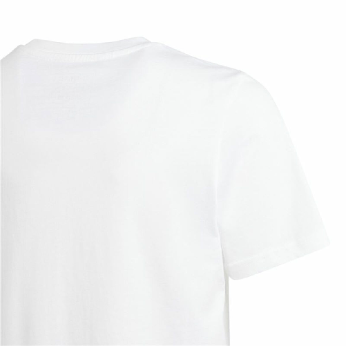 img-df75f07e-93f8-43b3-86ed-46d8bcfe578c.png