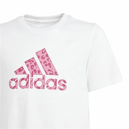 img-24fbce8a-95e8-4a76-bae6-eddb1a48a0a7.png