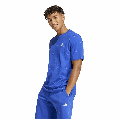 img-70884089-af71-4ab8-b328-5aebbebede2c.png