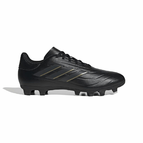 img-066103d0-3f0e-4068-8b69-91c3a4f1ae9e.png