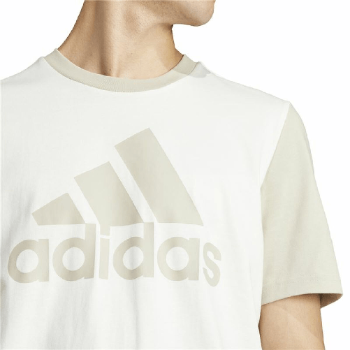 img-cd3ae319-0316-460d-be6e-5a8fce652834.png