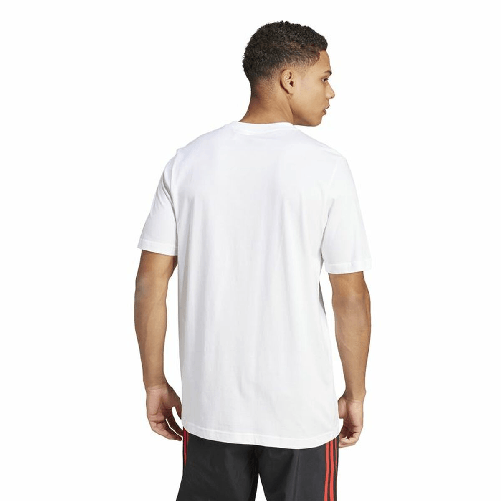 img-5181b276-beaa-47c0-b011-4a6953e19842.png