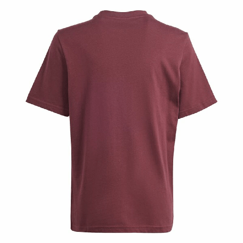 img-2b1d1814-3689-483e-9be0-38724037a915.png