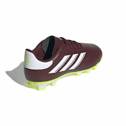 img-e098c6ee-5a5d-47ee-b8e8-6d399c60c047.png
