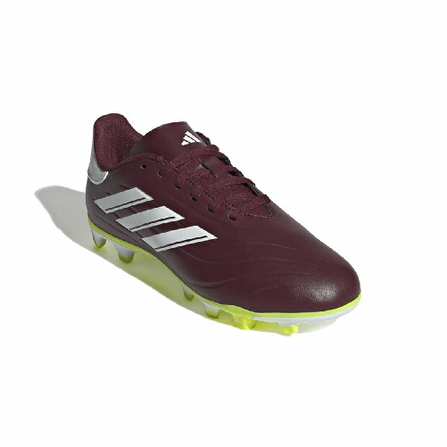 img-885168c1-1068-4af6-b65d-15bbc06c09d9.png
