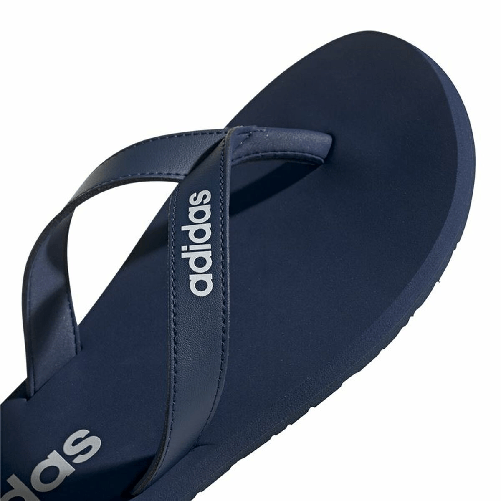 img-03db0553-66c6-4eb4-aecf-78b6c697bfb9.png