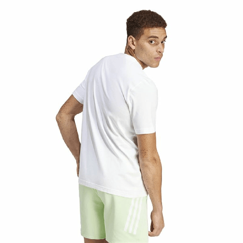 img-de4c956a-0f49-4bc2-826b-ca3e2691f093.png