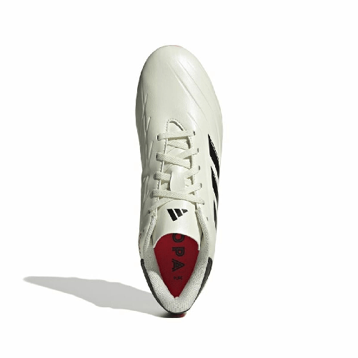 img-56f59807-90db-48e4-bebc-f533d886a32a.png