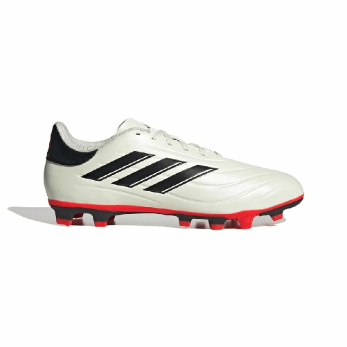 img-0b1f95d0-441f-49c2-a624-90aa68e1da0f.png