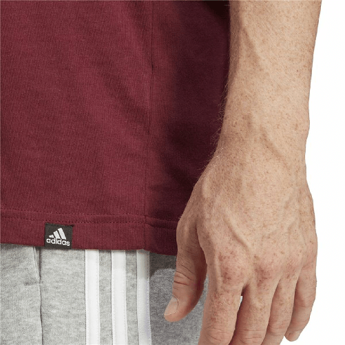 img-c811ff54-89a2-4d23-9b67-41cbcef6a060.png