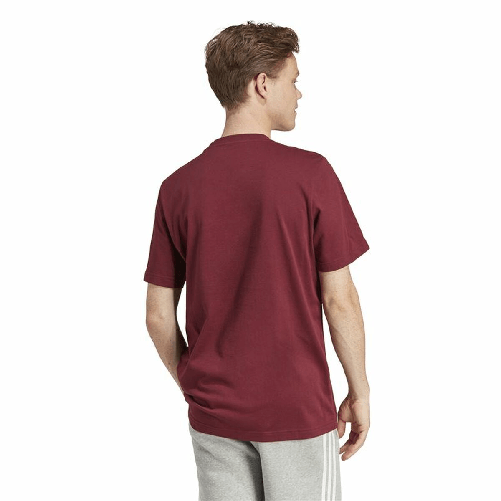 img-edea3918-62fd-4cf7-b8ca-2676bc36e256.png