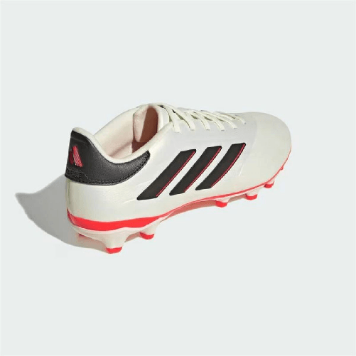 img-09b32fcc-6a38-455a-a6a2-fddb02f4b6e6.png