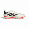 img-b838d471-7009-4a5c-a4f3-c1d47bcc0aa6.png