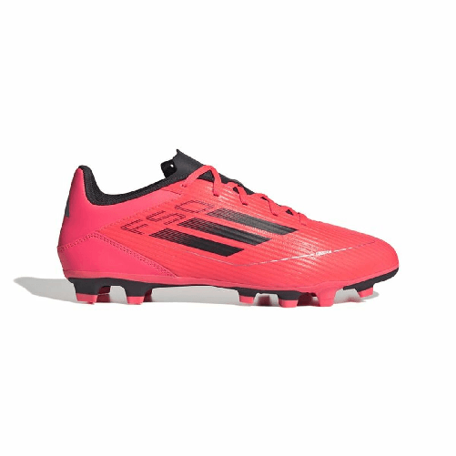 img-2e6bd081-019d-4042-801e-a93d0e4b727c.png
