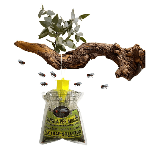 TrAdE Shop Traesio  Trappola Per Mosche Insetti Con Esca Naturale Ecologica Sicura Per Umani Animali 639719a -