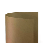 FAVINI                                                        Cartoncino Bristol Liscio 200gr. 50x70 25 Ff Camoscio