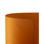 FAVINI                                                        Cartoncino Prisma Monoruvido 220gr. 70x100 10ff Arancio